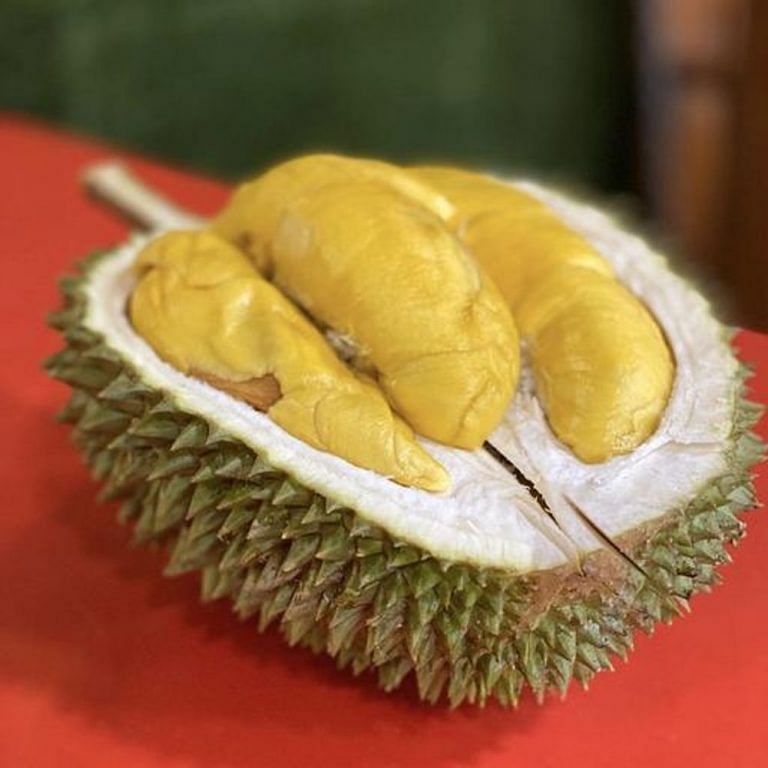Kasap merah durian Tips Jitu