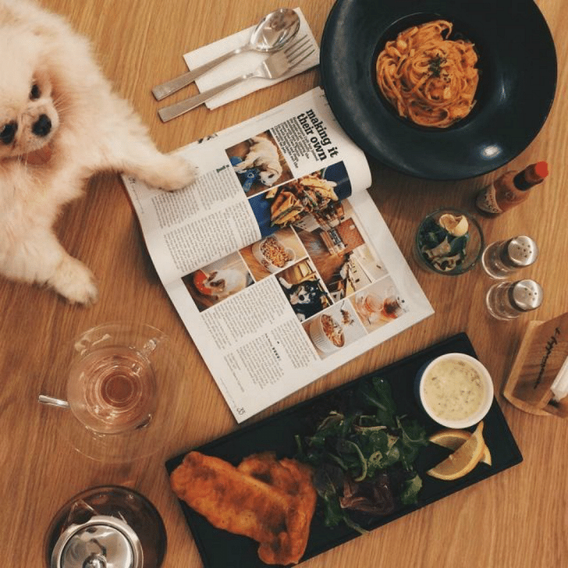 8 pet-friendly cafes where you can celebrate their birthdays at - Her